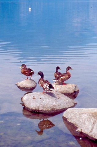 Lago del Segrino